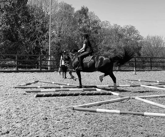 Why Pole Work is a Game-Changer for Your Horse