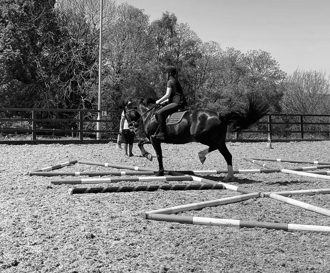 Why Pole Work is a Game-Changer for Your Horse